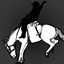 The Cowboy