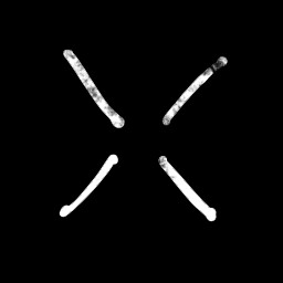 SegmentedCruciform