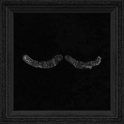 Moustaches