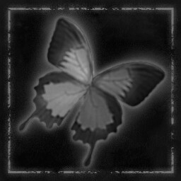 Butterfly Transformation