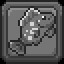 1B Fish