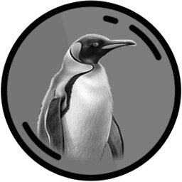 New Penguins
