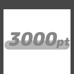 3000