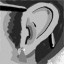 Good Listener