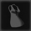Dressing properly