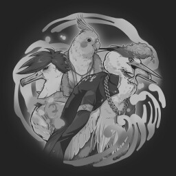 Legend of Aves Academy