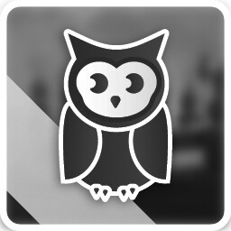 Night Owl