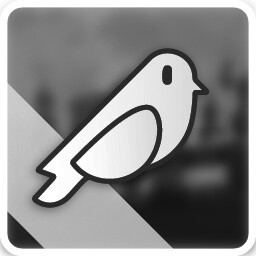 Early Bird