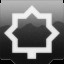Command Officer