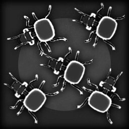 Ant Expansion