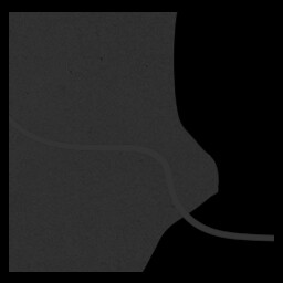 Shadow of the Culprit I