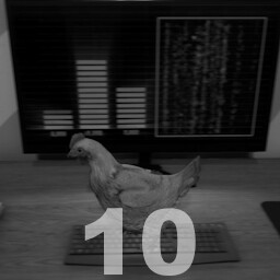 Tech chicken