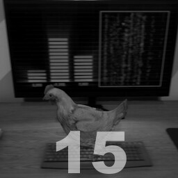 Cyber chicken