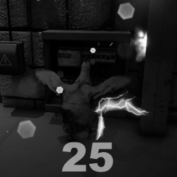 Chicken saboteur