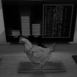 Hacker beak