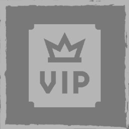 VIP Service