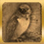 Little Birdie
