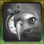 Eagle-eyed