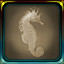 Seahorse Ashore
