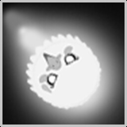 Animal rain