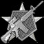 100 Assault Rifle Kills