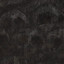 Spooky Omens