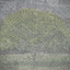 The tree motif