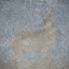 Antelope