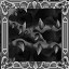 Uzra Empress Slayer