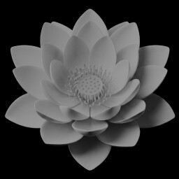 upekkhā