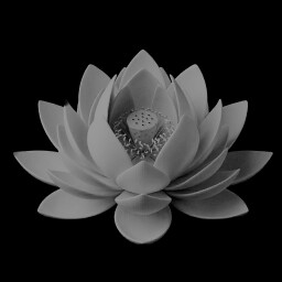 samādhi