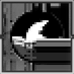Shark byte