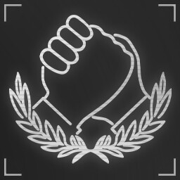 Irreplaceable Comrade