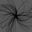 Discover Dark X Boson