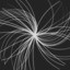 Discover X Boson