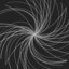 Discover Graviton