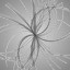 Discover Anti Y Boson