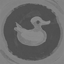 What the Duck