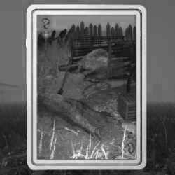 Clue #18