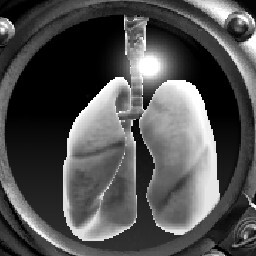 Perfect Lungs