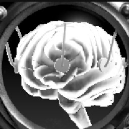 Perfect Mind