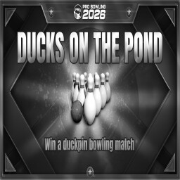 Ducks on the Pond