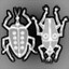 Bettle Pairing