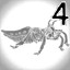 Endopterygota