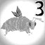 Apoidea