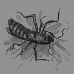 Pest Control