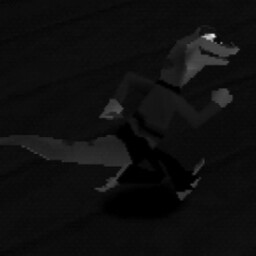 Year of the Gecko