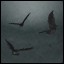 Bat Tracker