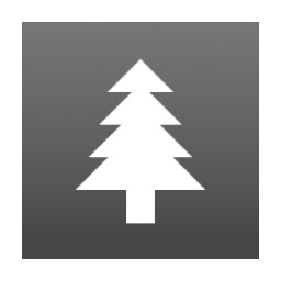 Pine Pioneer