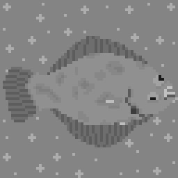 The Flattest in All The Sea